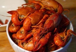 龙虾在线观看,一场味蕾与视觉的盛宴