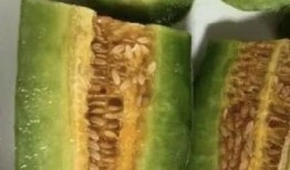 网红同款吃瓜图片头像大全,潮流风向标，趣味十足